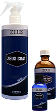 ZEUSコーディング