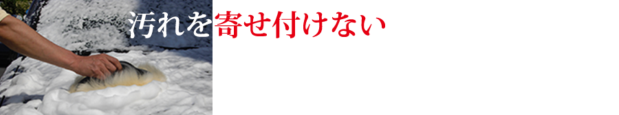 カーシャンプー